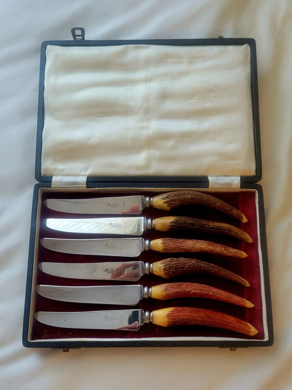 Vintage Taylor's Eye Witness Sheffield Stag/Antler Steak Knives Set of 6, Case